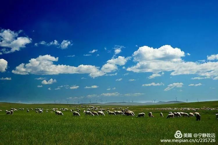 呼伦贝尔,草原之美与风情之旅